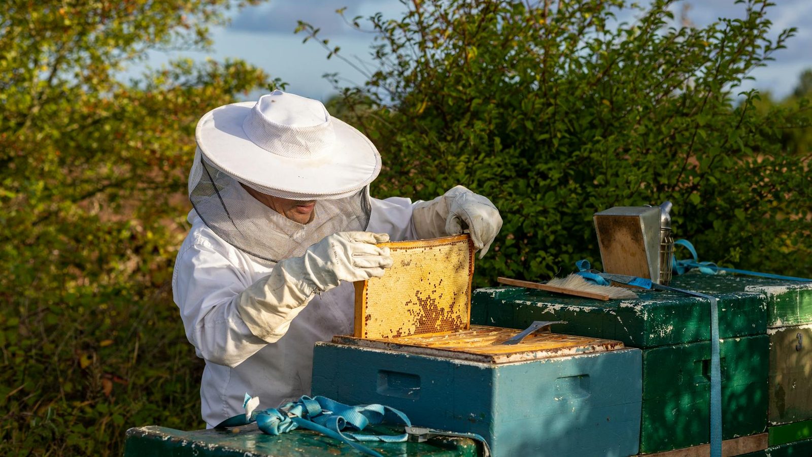 Beekeeper