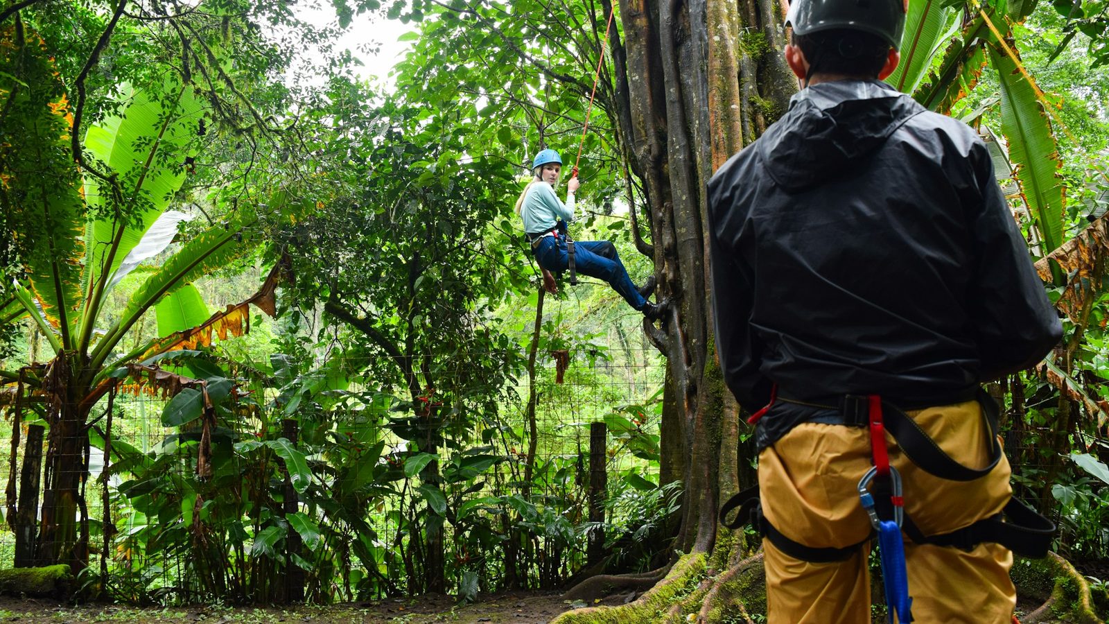 Rainforest naturalist guide