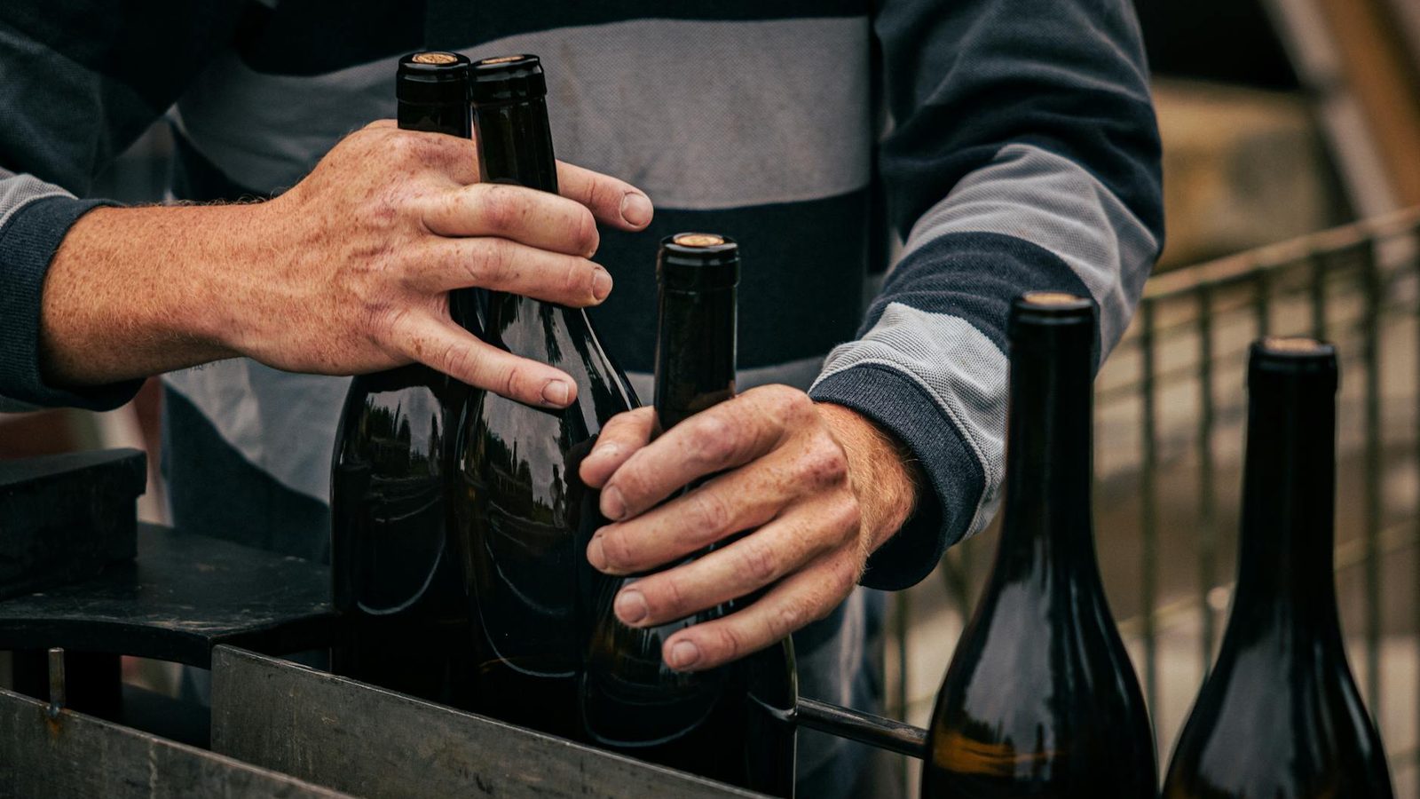 Craft cider master