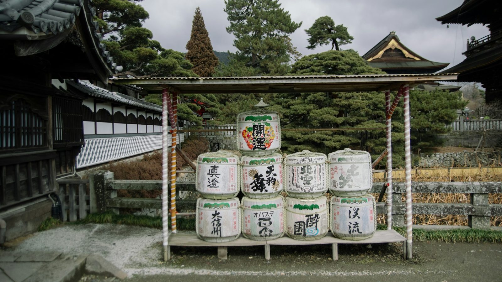 Japanese green tea production specialist