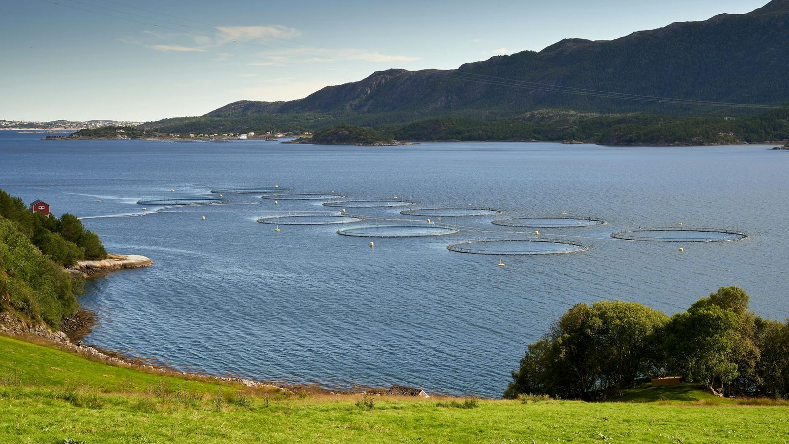 Offshore Aquaculture Farm Technician