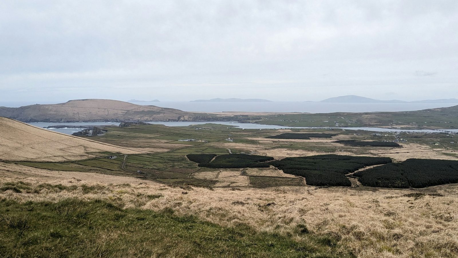Peat Bog Restoration Ecologist